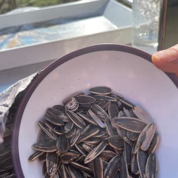 Çekirdek Paketinden Çıkan Salyangoz Şoku!