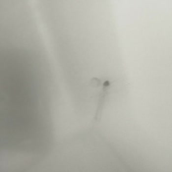 Beko Bulaşık Makinesi: Kalite Sorunları Ve Ulaşılmaz Servis