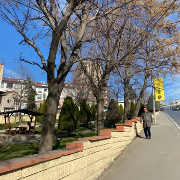 İstanbul Büyükşehir Belediyesi Halkalı İstasyon Caddesi'nde Güvenlik Önlemleri Eksikliği