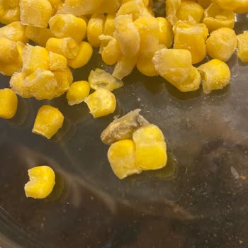 Dondurulmuş Mısırdan Çıkan Arı Şoku!