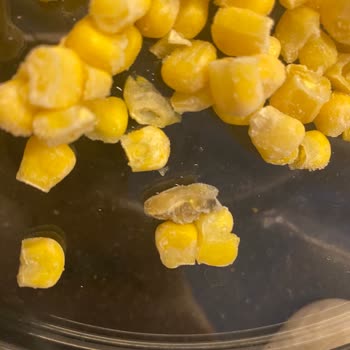 Dondurulmuş Mısırdan Çıkan Arı Şoku!