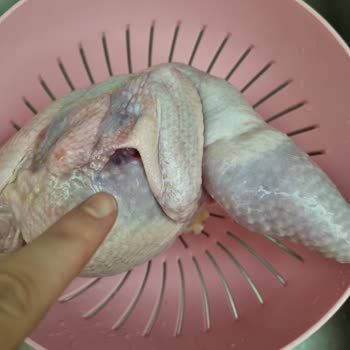 Bozuk Tavuk Teslimatı: Migros'tan Beklenmedik Deneyim