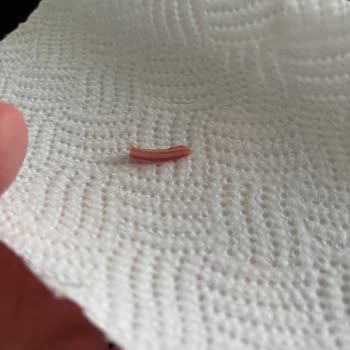 Migros Sanal Market'ten Aldığım Kıymada Beklenmedik Sürpriz