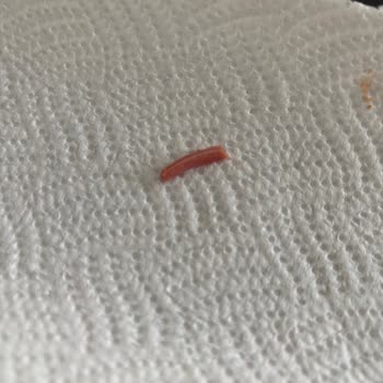 Migros Sanal Market'ten Aldığım Kıymada Beklenmedik Sürpriz