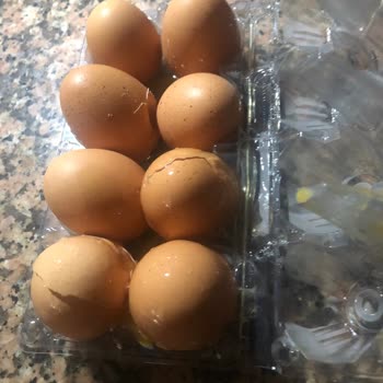 Migroshemen'den Gelen Kırık Yumurta Ve İlgisiz Müşteri Hizmetleri