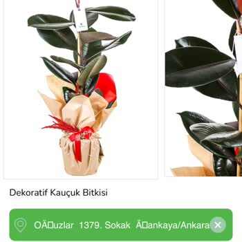 Yanıltıcı Görseller Ve Yavaş Müşteri Hizmetleri