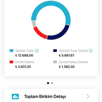 Birikim İadesinde Gecikme Ve Oyalama Sorunu