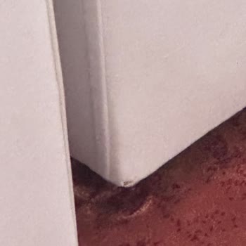 S Home Design Concept Hasarlı Ürünler Ve Yavaş Nakliye Süreci İle İlgili Hayal Kırıklığı