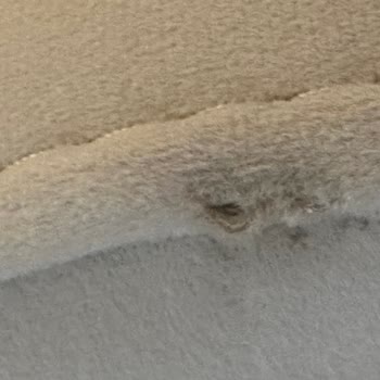 S Home Design Concept Hasarlı Ürünler Ve Yavaş Nakliye Süreci İle İlgili Hayal Kırıklığı