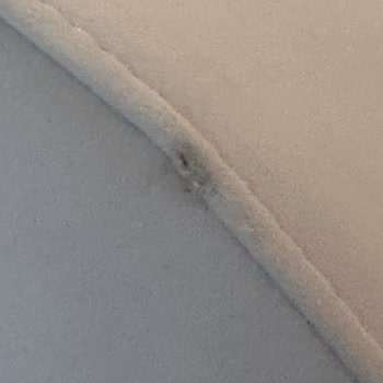 S Home Design Concept Hasarlı Ürünler Ve Yavaş Nakliye Süreci İle İlgili Hayal Kırıklığı