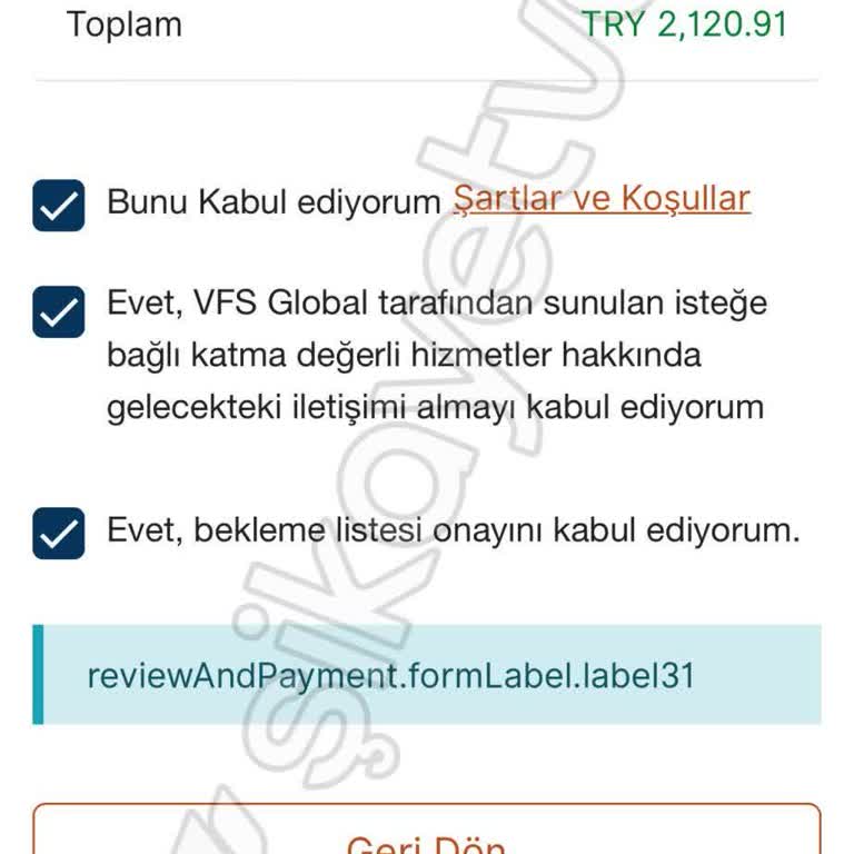 Konsolosluk Randevu Sitesindeki Teknik Sorunlar