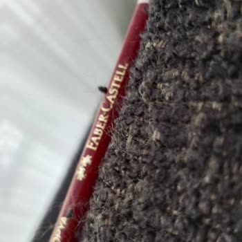 Kartal Yakacık Doğtaş Mobilya'dan Aldığım Ürünler İçin Çözüm İstiyorum!