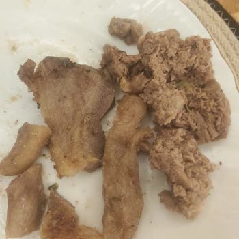 Köfteci Yusuf'tan Aldığım Sert Et Diş Problemi Yarattı