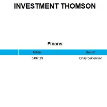 Para Transferi Sorunu Ve Cevapsız Mesajlar
