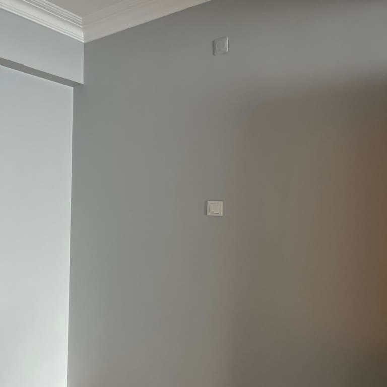 Marshall Boya Renk Uyumsuzluğu: Gelin Teli Renginin Hayal Kırıklığı