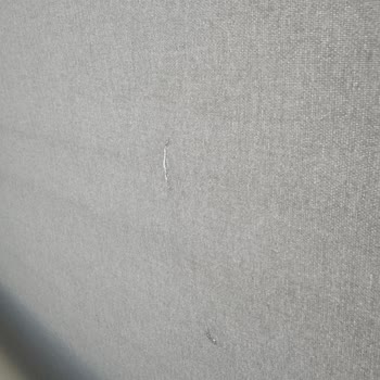 Paris Halı Yıkama Saygısız Hizmet ve Zarar Görmüş Ürün