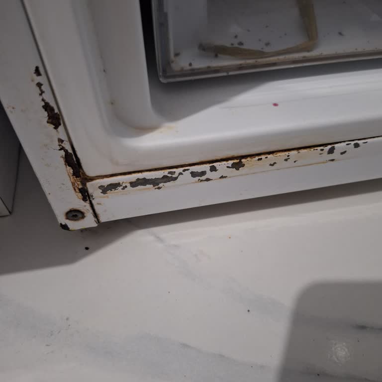 Beko Buzdolabında Erken Paslanma Sorunu