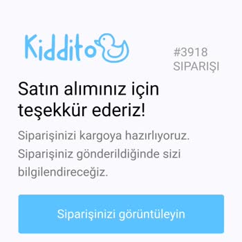 Kargo Süreci Sorunu: Siparişin Teslim Edilmemesi Ve İletişim Eksikliği