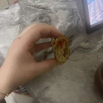 Küflenmiş Nugget Ve Şüpheli Köfte İçeriği
