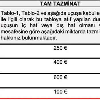 Ajet İle Uçuş Rötarı Ve Yetersiz Hizmet Mağduriyeti