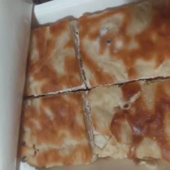 Küflü Börek Skandalı: İnsan Sağlığı Tehlikede!