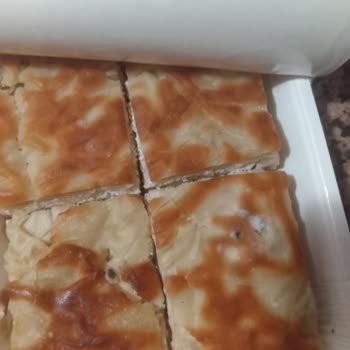 Küflü Börek Skandalı: İnsan Sağlığı Tehlikede!