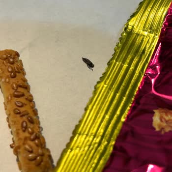 Eti Çubuk Krakerde Hijyen Skandalı