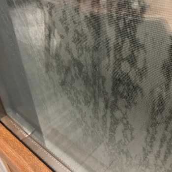 Yanlış Cam Ve İlgisiz Hizmet