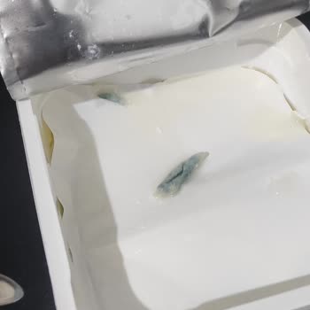 Küflü Peynir Ve İade Sorunu: Müşteri Mağduriyeti