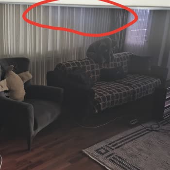 Samsung TV'de Parmak İzi Lekesi Sorunu Ve Kullanıcı Hatası İddiası