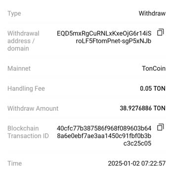 Missing TON Coins Sent from Hotcoin to Binance, Memo Error Causing 13-Hour Delay