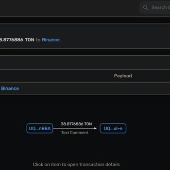 Missing TON Coins Sent from Hotcoin to Binance, Memo Error Causing 13-Hour Delay