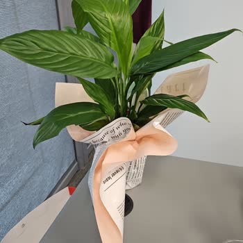 Eksik Teslimat Ve İletişim Sorunu