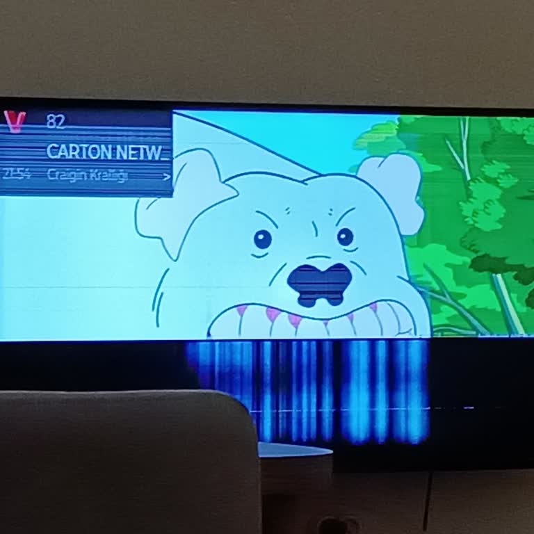 Vestel TV'nin Kısa Sürede Arızalanması Ve Müşteri Memnuniyetsizliği