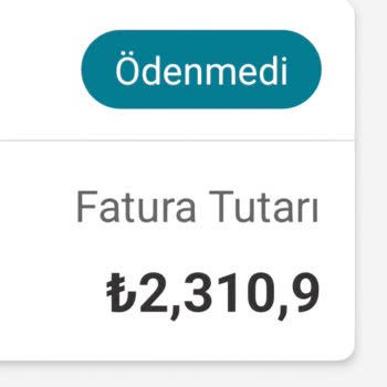 Vizyon Elektronik Para İle Beklenmedik Fatura Şoku