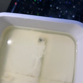 Dost Peynirde Yabancı Madde Şoku