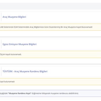 Araç Muayene Bilgilerinin E-Devlette Görünmemesi Sorunu
