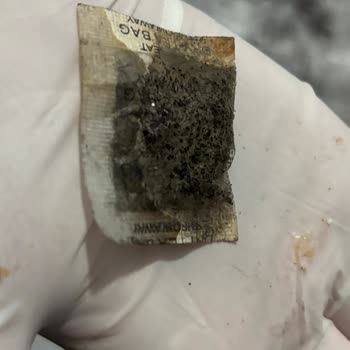 Termos İçindeki Küflü Silika Jel Problemi