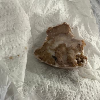 File Market'ten Aldığım Üründe Hijyen Sorunu