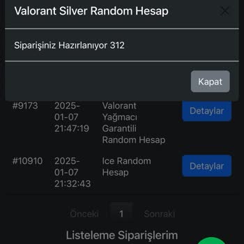 Hesap Teslimatı Sorunu Ve Müşteri Hizmetleri Yetersizliği