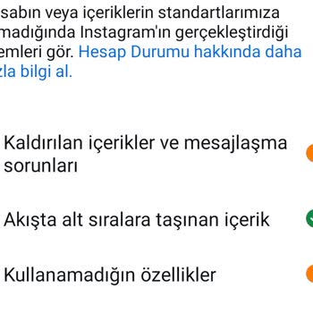 Instagram Etkileşim Kısıtlaması Ve Donan Ekran Sorunu!