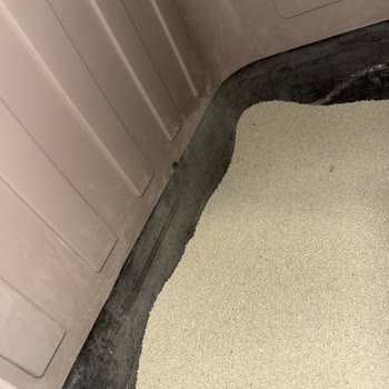 Feles Yeni Nesil Kedi Kumunda Tozlanma Sorunu!