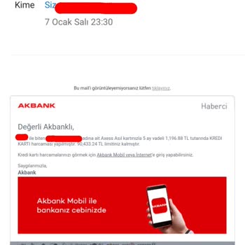 Kampanya Koşulları Ve İletişim Sorunları