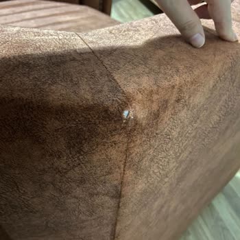 İstanbul Koltuk Yıkama Verdiği Hizmetten Memnun Kalmadım!