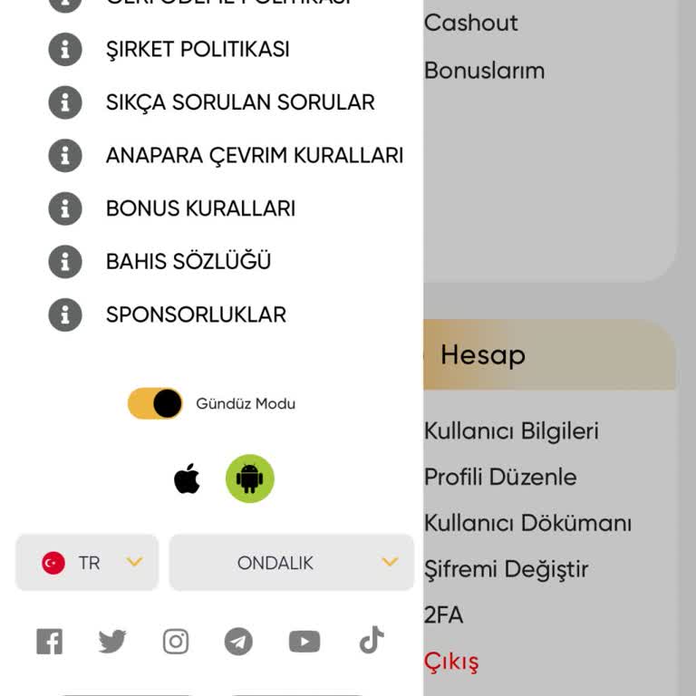 Betvast Tema Seçimi Sorunu