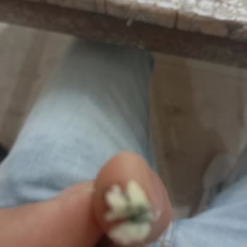 Küflenmiş Süt Burger İle Şok Edici Deneyim