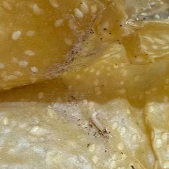 Kurtlu Pestil Mağduriyeti: Sağlığımız Tehlikede