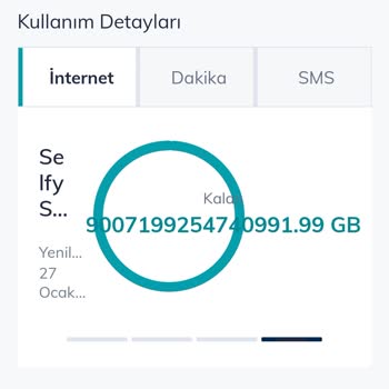 Sınırsız Sosyal Medya Yanıltmacası