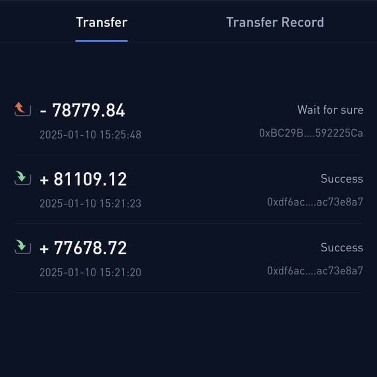 Bibox Did Not Process My Withdrawal Request for Tokens