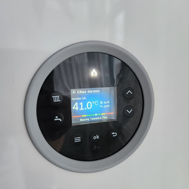 Yeni Takılan Bosch Kombi Su Eksiltiyor Ve Servis Sorunları